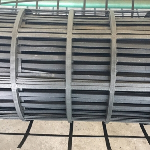 Steel plastic geogrid